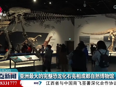 亚洲最大的完整恐龙化石亮相成都自然博物馆