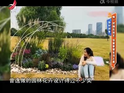 你好初冬——秀一把插花技艺 宅家享受生活之美