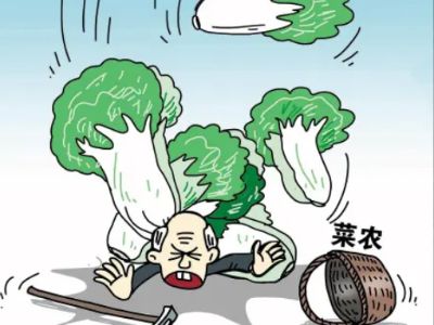 热评丨农民缘何毁菜？勿让“加码”伤农