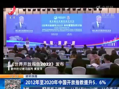 2012年至2020年中国开放指数提升5.6%