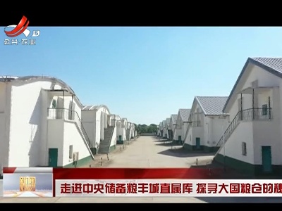 走进中央储备粮丰城直属库 探寻大国粮仓的秘密