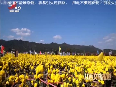 江西文旅报道20221114