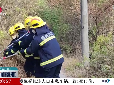 赣州：菜地边惊现大蟒蛇