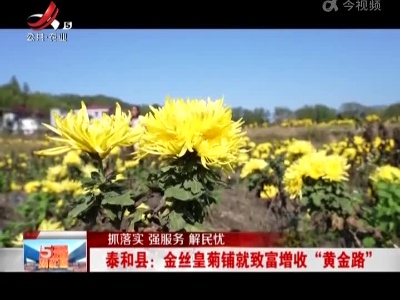 【抓落实 强服务 解民忧】泰和县：金丝皇菊铺就致富增收“黄金路”