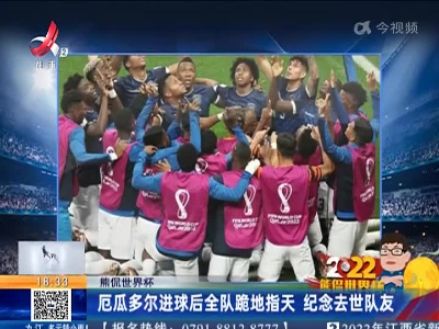 【熊侃世界杯】厄瓜多尔进球后全队跪地指天 纪念去世队友