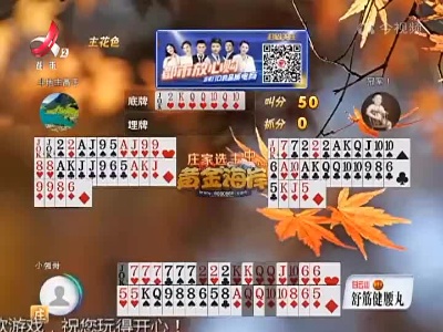 谁是赢家20221111