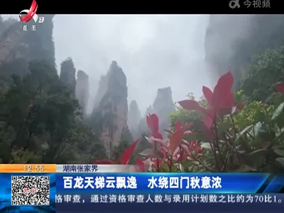 湖南张家界：百龙天梯云飘逸 水绕四门秋意浓