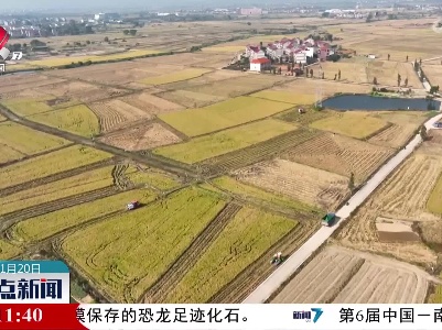 整点新闻20221120 14:00