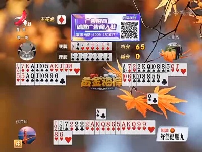 谁是赢家20221118