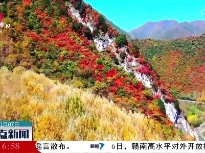层林尽染！秦岭迎来最美时节