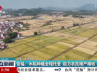 【又是一年丰收时】安福：水稻种植全程托管 助力农民增产增收