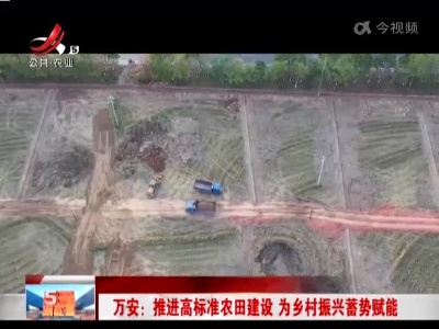 万安：推进高标准农田建设 为乡村振兴蓄势赋能