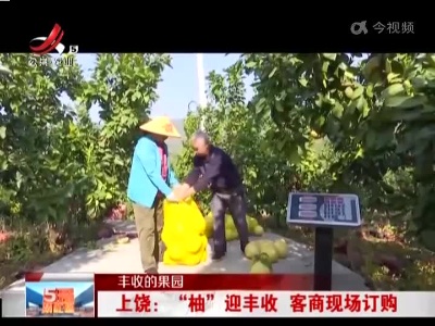 【丰收的果园】上饶：“柚”迎丰收 客商现场订购