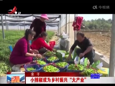 五哥帮忙团20221116