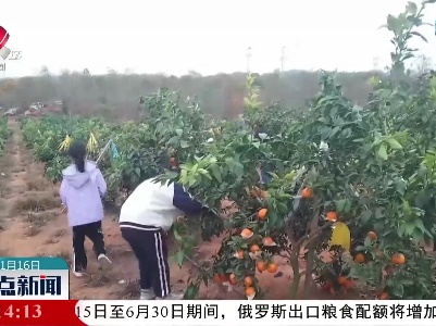 上高：特色种植拓宽群众增收致富路