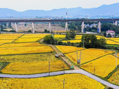 【地评线】江右时评：以“绣花”功夫研读党的二十大报告