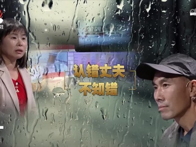 金牌调解20221109 认错丈夫不知错