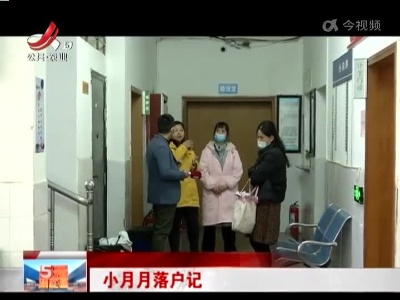 小月月落户记