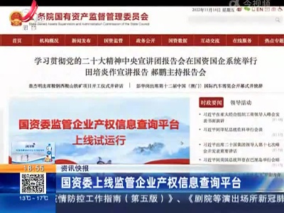 国资委上线监管企业产权信息查询平台