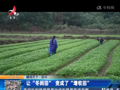 【赣闻天下】抚州：让“冬闲田” 变成了“增收田”