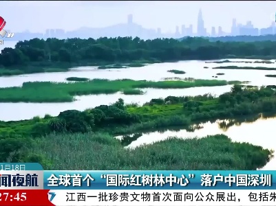 全球首个“国际红树林中心”落户中国深圳