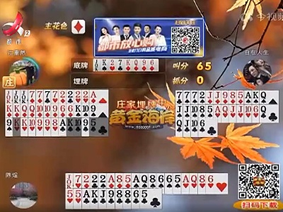 谁是赢家20221113