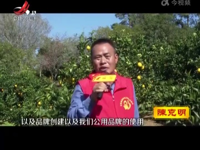 新闻晚高峰20221116