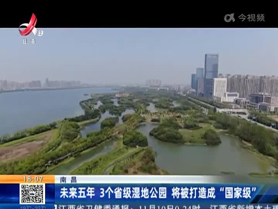 都市现场20221111