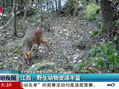 【保护野生动物宣传月】江西：野生动物资源丰富