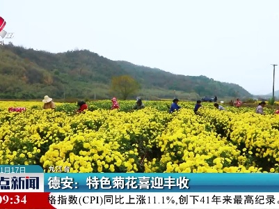 整点新闻20221117 14:00