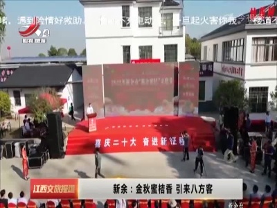 新余：金秋蜜桔香 引来八方客