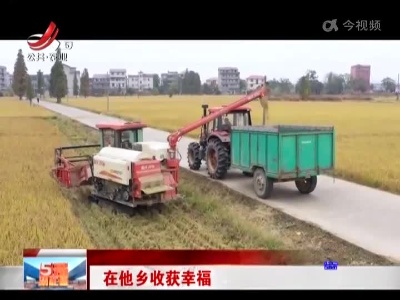 五哥帮忙团20221128