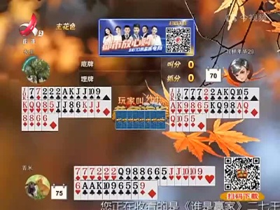 谁是赢家20221109