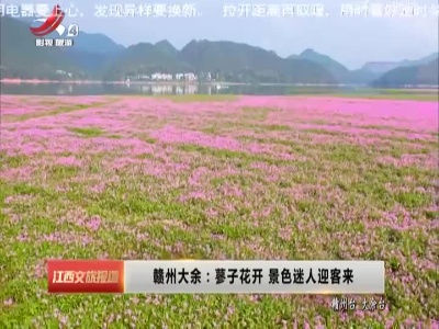 赣州大余：蓼子花开 景色迷人迎客来