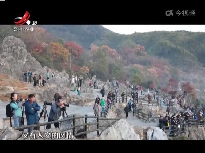 五哥帮忙团20221114