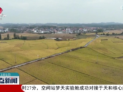 整点新闻20221101 16:00