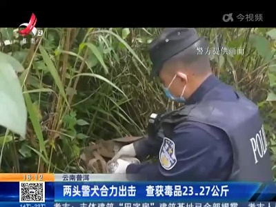 云南普洱：两头警犬合力出击 查获毒品23.27公斤