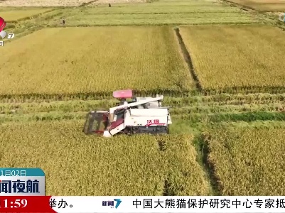 【又是一年丰收时】安福：水稻种植全程托管 助力农民增产增收
