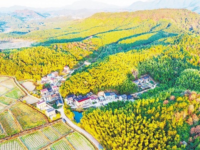 【地评线】江右时评：坚持三大思维，为世界粮食安全贡献中国智慧