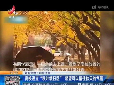 【新闻热搜】山东济南：高校设立“秋叶缓扫区” 希望可以留住秋天的气氛