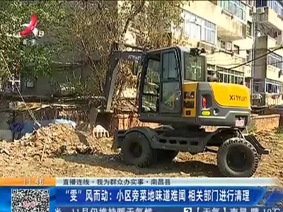 都市现场·午间版20221110