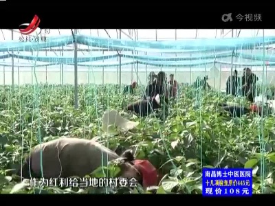 五哥帮忙团20221130