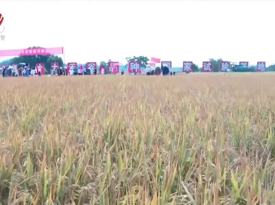弋阳县联合江西农业大学开展乡村振兴校地合作示范