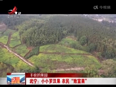 五哥帮忙团20221108