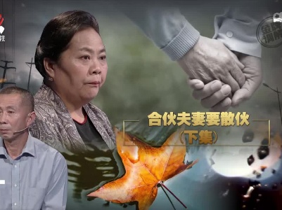 金牌调解20221115 合伙夫妻要散伙（下）