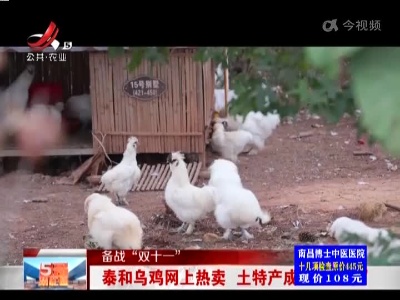 【备战“双十一”】泰和乌鸡网上热卖 土特产成“香饽饽”