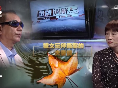 金牌调解20221107 被女玩伴撕裂的夫妻情
