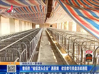【特别关注】景德镇：曾经的“省级龙头企业”遇困境 欲自救引资盘活却遇阻