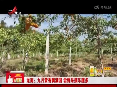 新闻晚高峰20221104