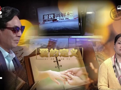 金牌调解20221116 爱的定义